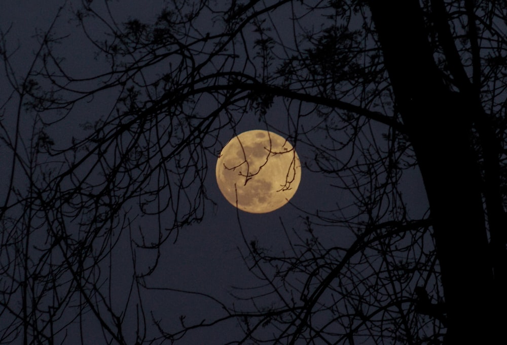 Photographie couleur sélective de la pleine lune