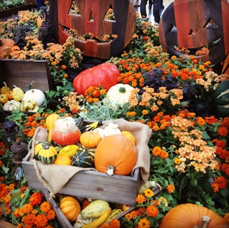 A vibrant display of seasonal crafts made by students, featuring autumn leaves and pumpkins.