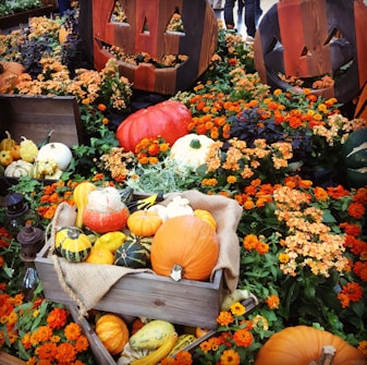 A vibrant autumn display featuring various types of pumpkins and gourds arranged amidst bright orange flowers and green foliage. Wooden carved pumpkins with smiling faces add a playful Halloween theme to the scene. The pumpkins are placed in wooden crates lined with burlap, creating a rustic and festive atmosphere.