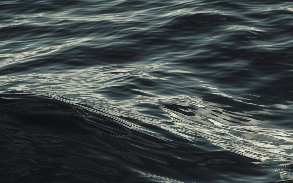 closeup photo of rippling sea water