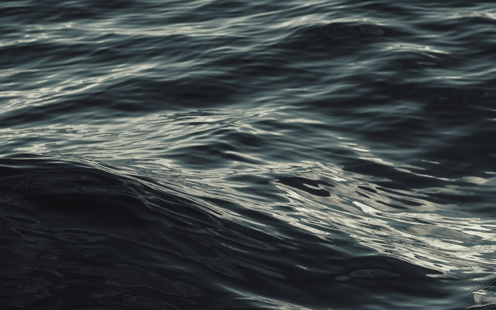 photo en gros plan de l’eau de mer ondulante