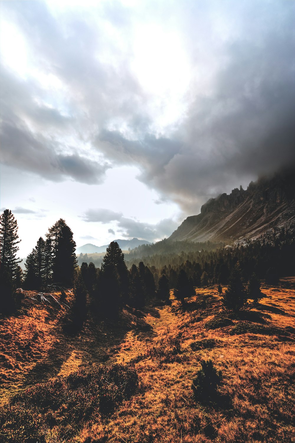 fotografia de paisagem de árvores e cadeias de montanhas