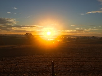 An image capturing the early morning light over the Afrilanga farm, showing barns, fields, and grazing animals.