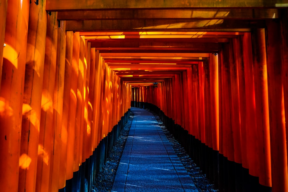 orange wooden tunnel
