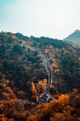 bird's eye view photography of Great Wall of China