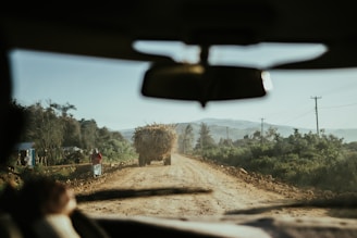 A dirt road stretches through a rural landscape, bordered by dense green vegetation and power lines. In the foreground, the interior of a vehicle is partially visible, with a person possibly driving. Ahead on the road, an ox-drawn cart heavily loaded with what appears to be hay is moving forward. A woman dressed in a red top and white skirt walks along the side of the road.