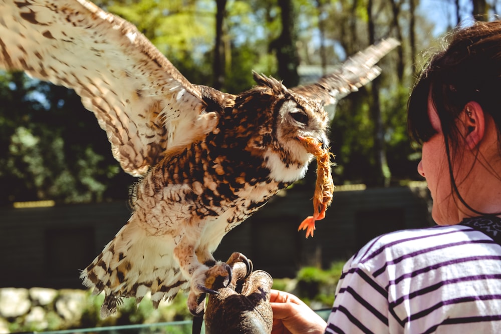 woman touching brown and white bird