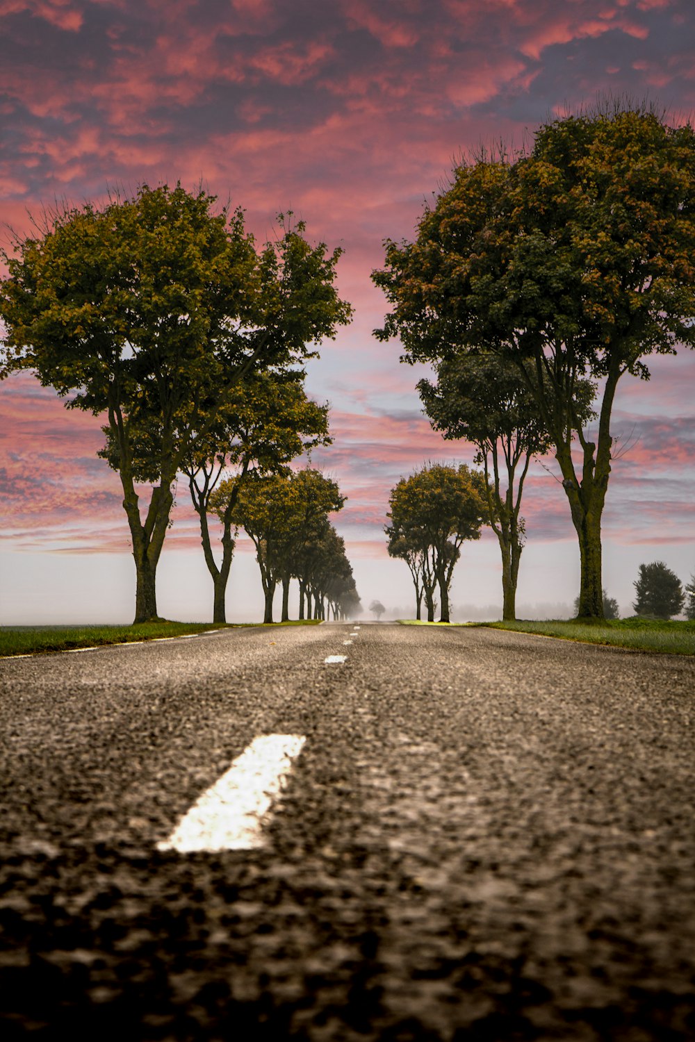 low angle photography of asphalt road