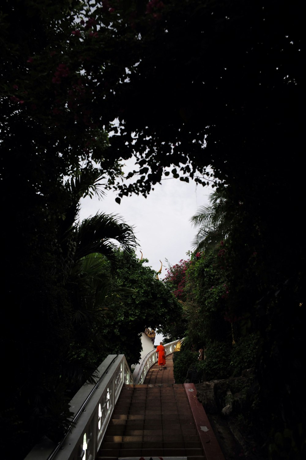 person walking on bridge in between trees at daytime