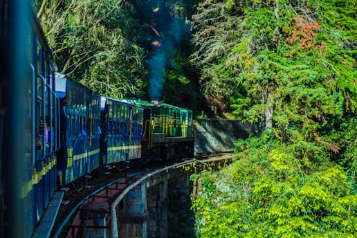 A train is traveling along a curved railway track through a dense forest, with vibrant green foliage surrounding the area. Passengers are seen looking out of the windows, and the sky appears to be clear with sunlight filtering through the trees.