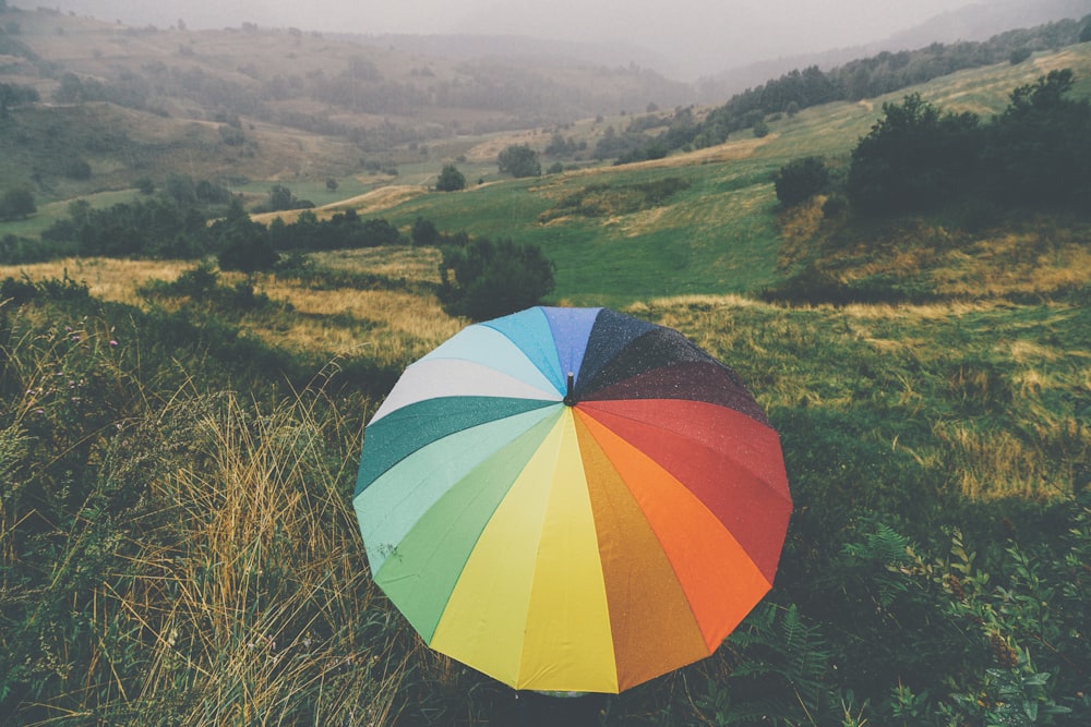 umbrella near trees