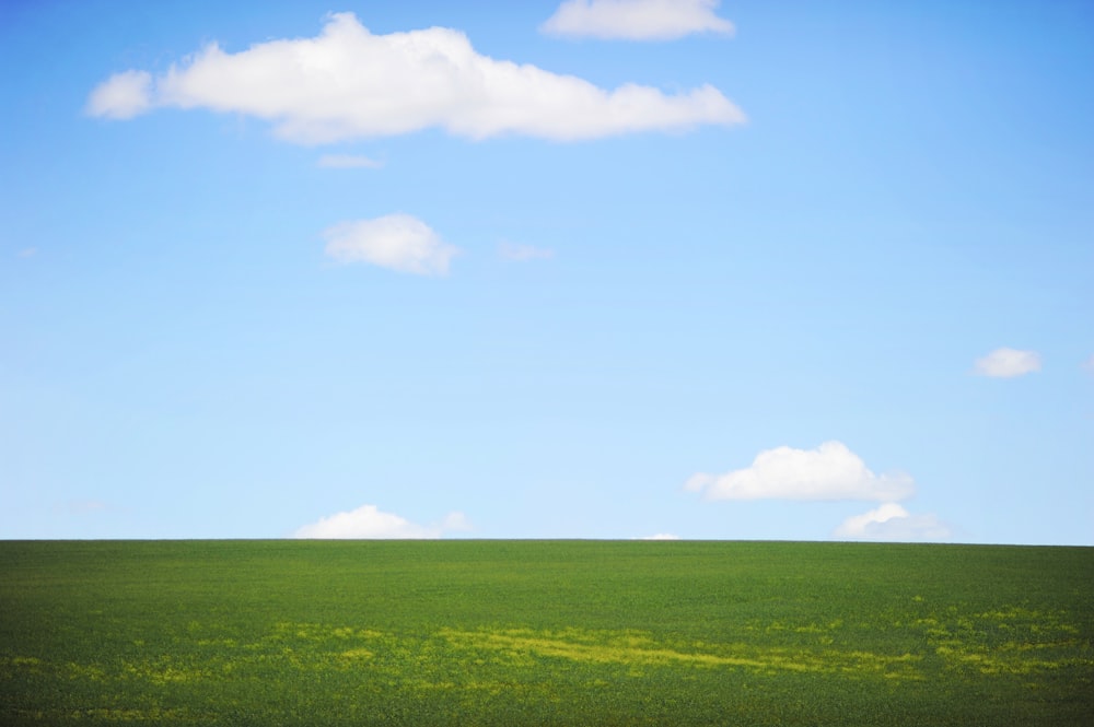 Fotografía de paisaje de campo verde y cielo