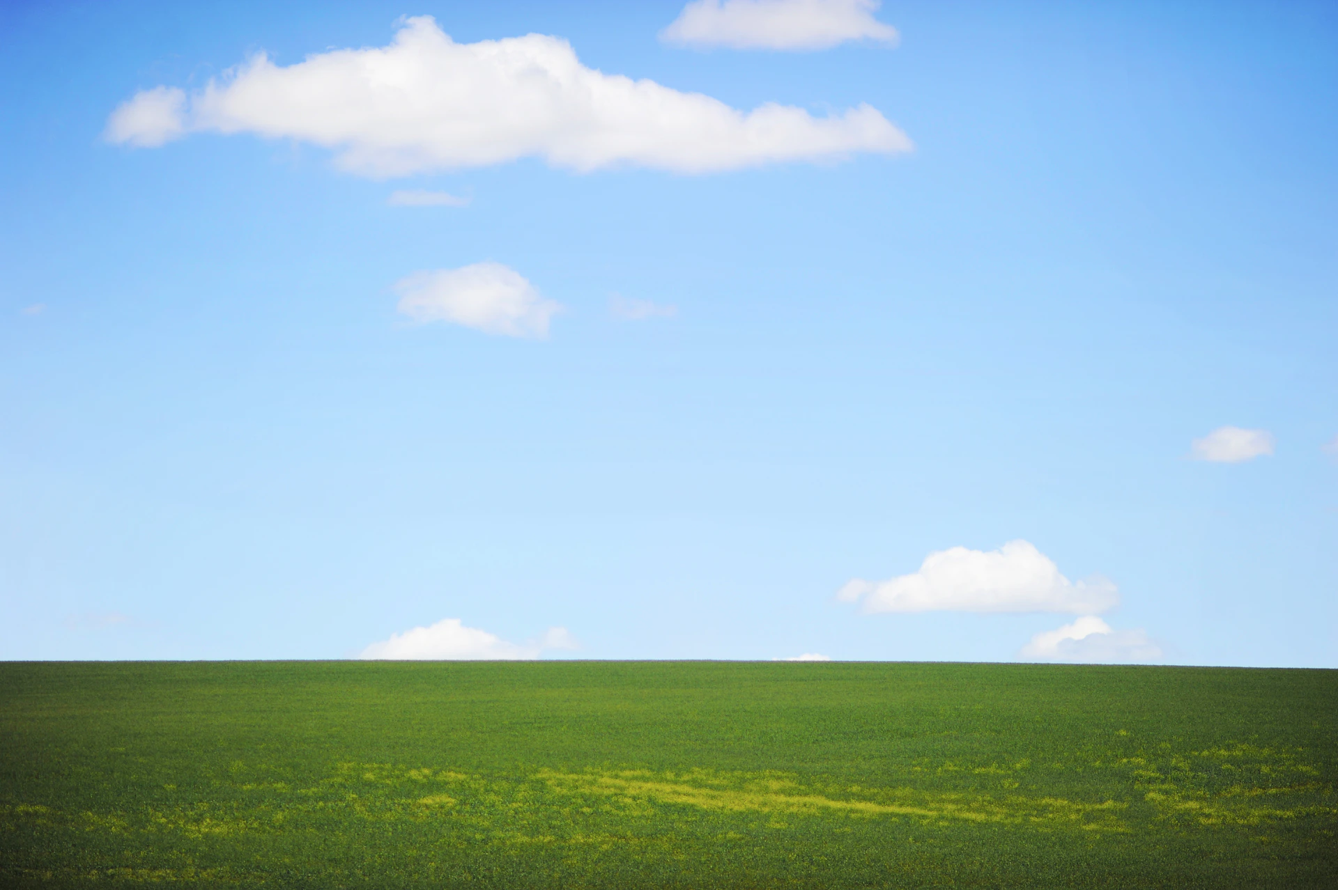 landscape photography of green field and sky