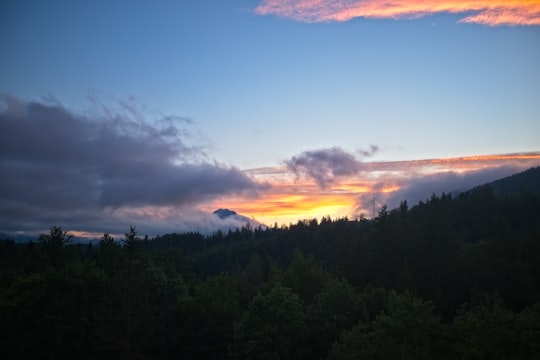 tree covered mountain taken under white clouds during golden hour in Annaberg Austria