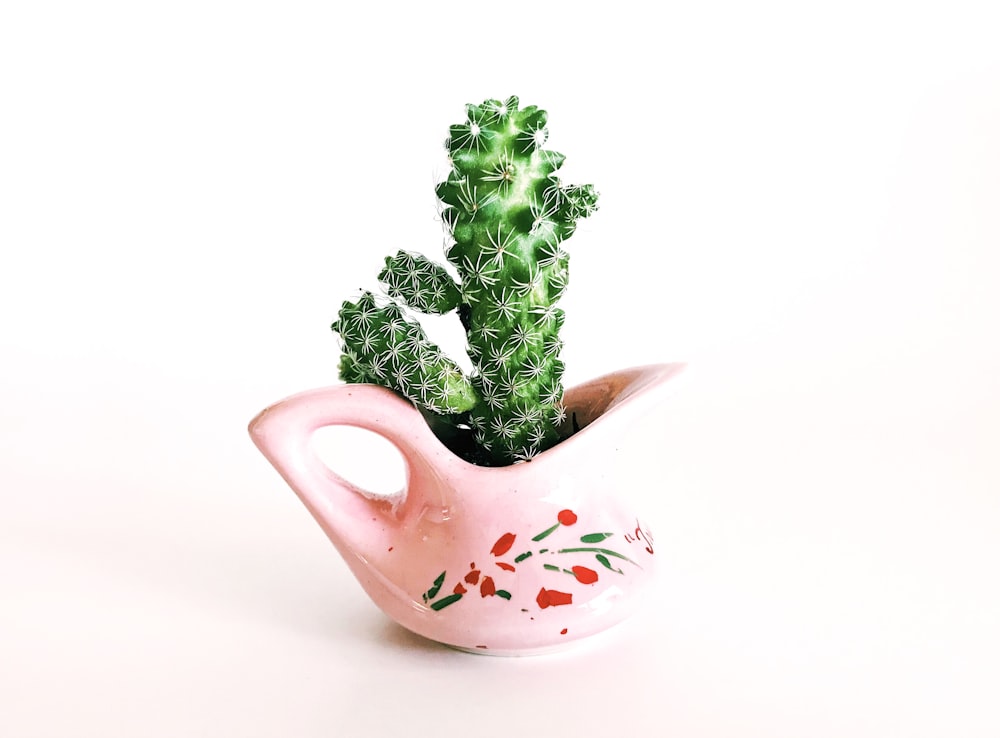 pink ceramic pot with cactus
