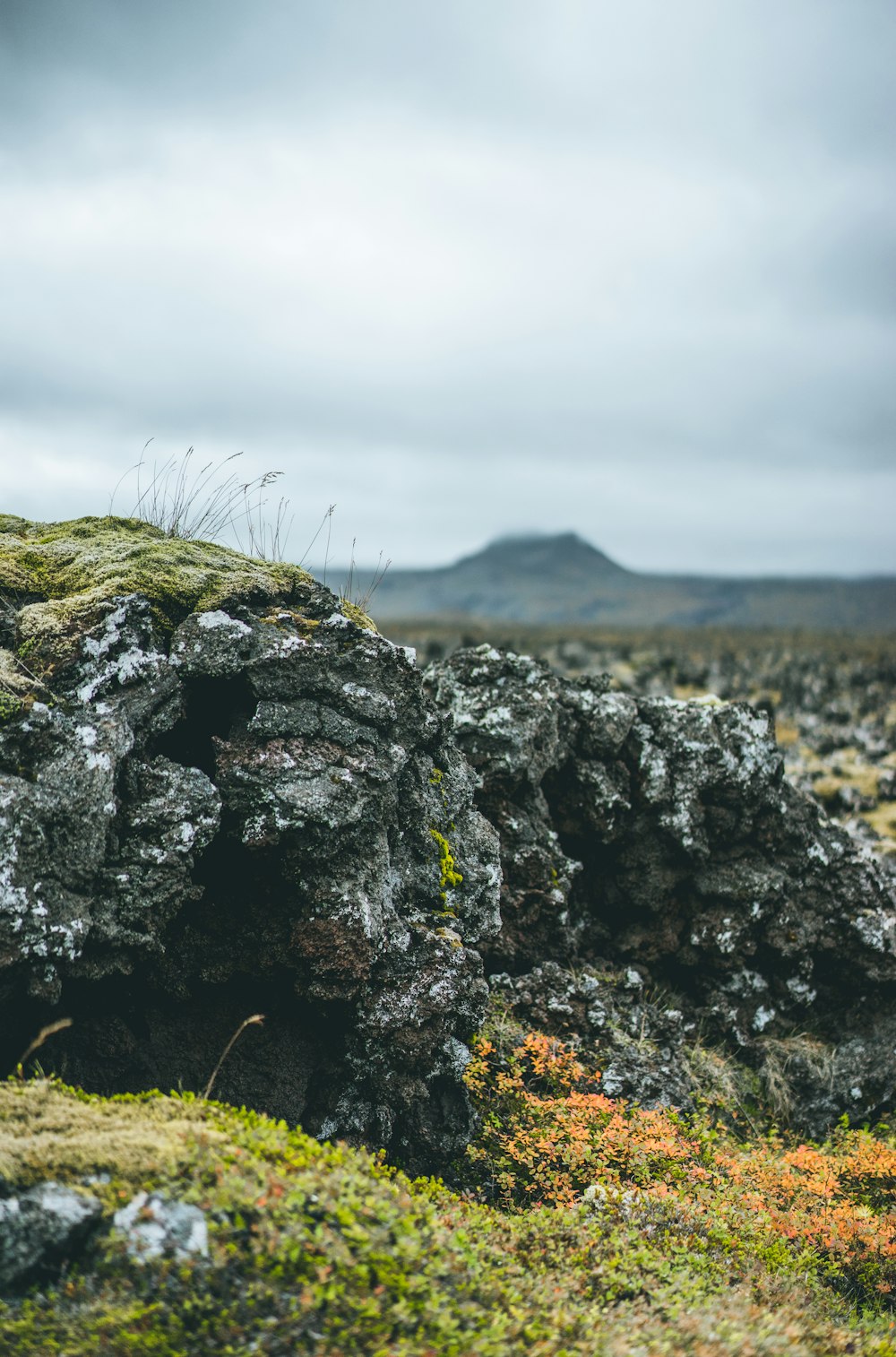 grey rock formation during daytime