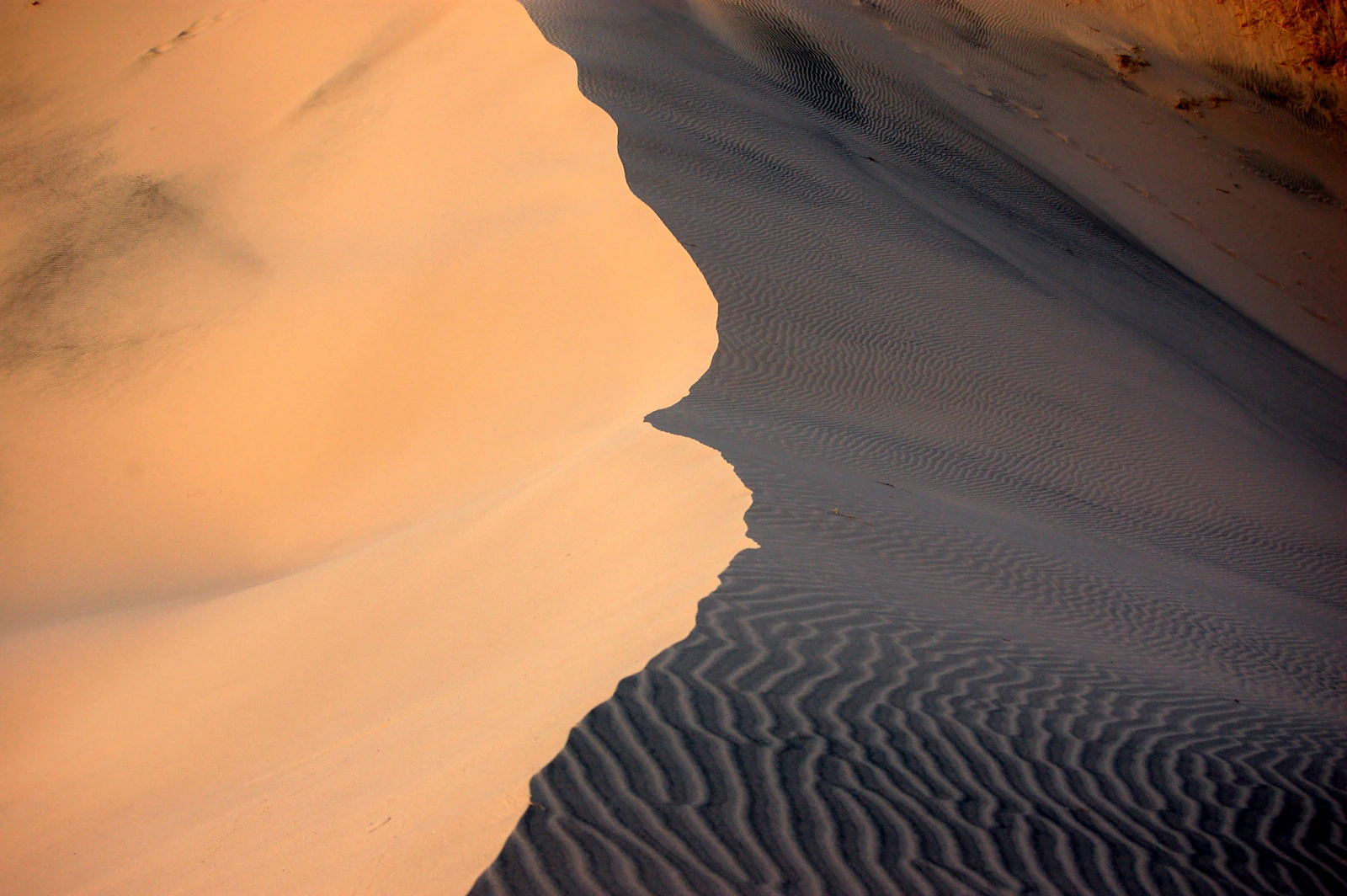 Sand ridge shaped by the wind at the Kelso Dunes in the Mojave National Preserve, California