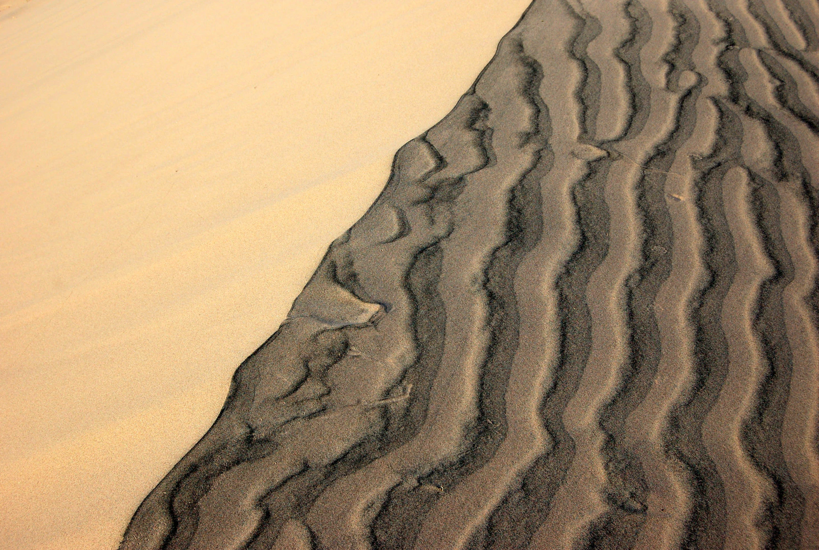 Wind-rippled wavy lines across a sand dune