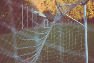 A close-up view of a soccer goal with a metal frame and netting, set on a grassy field with green grass. The background shows out-of-focus autumn trees with orange and yellow leaves, giving a warm, serene atmosphere.