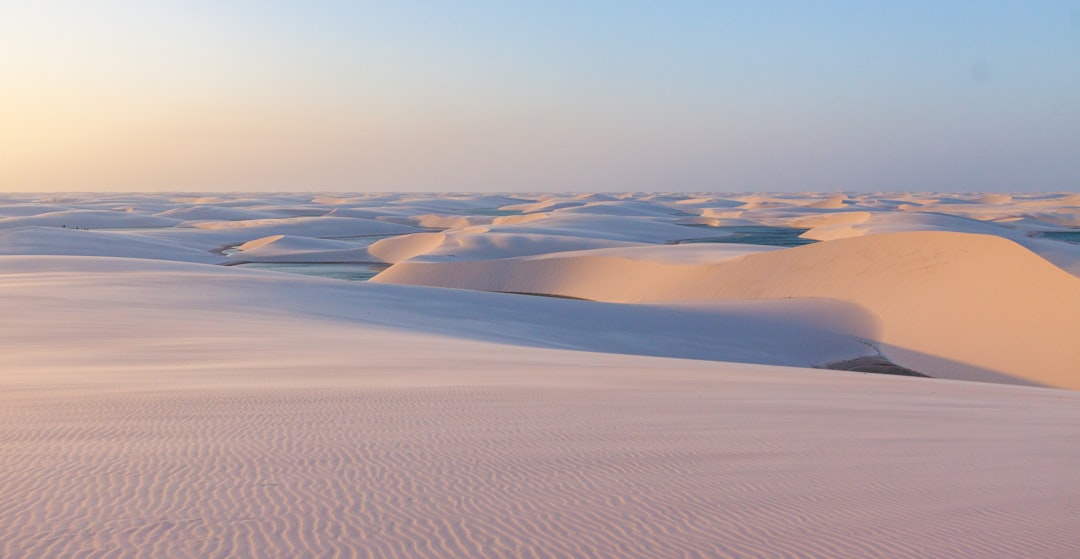 field of white sand,