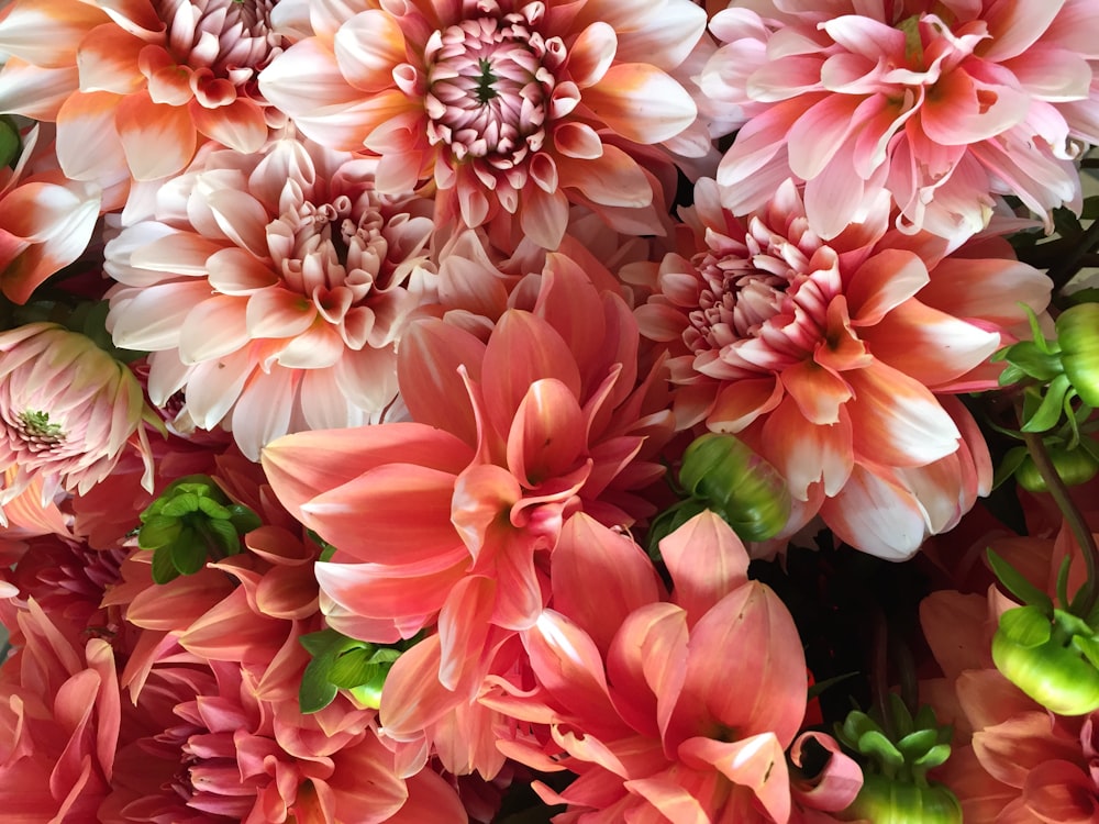 pink-and-white floral decor