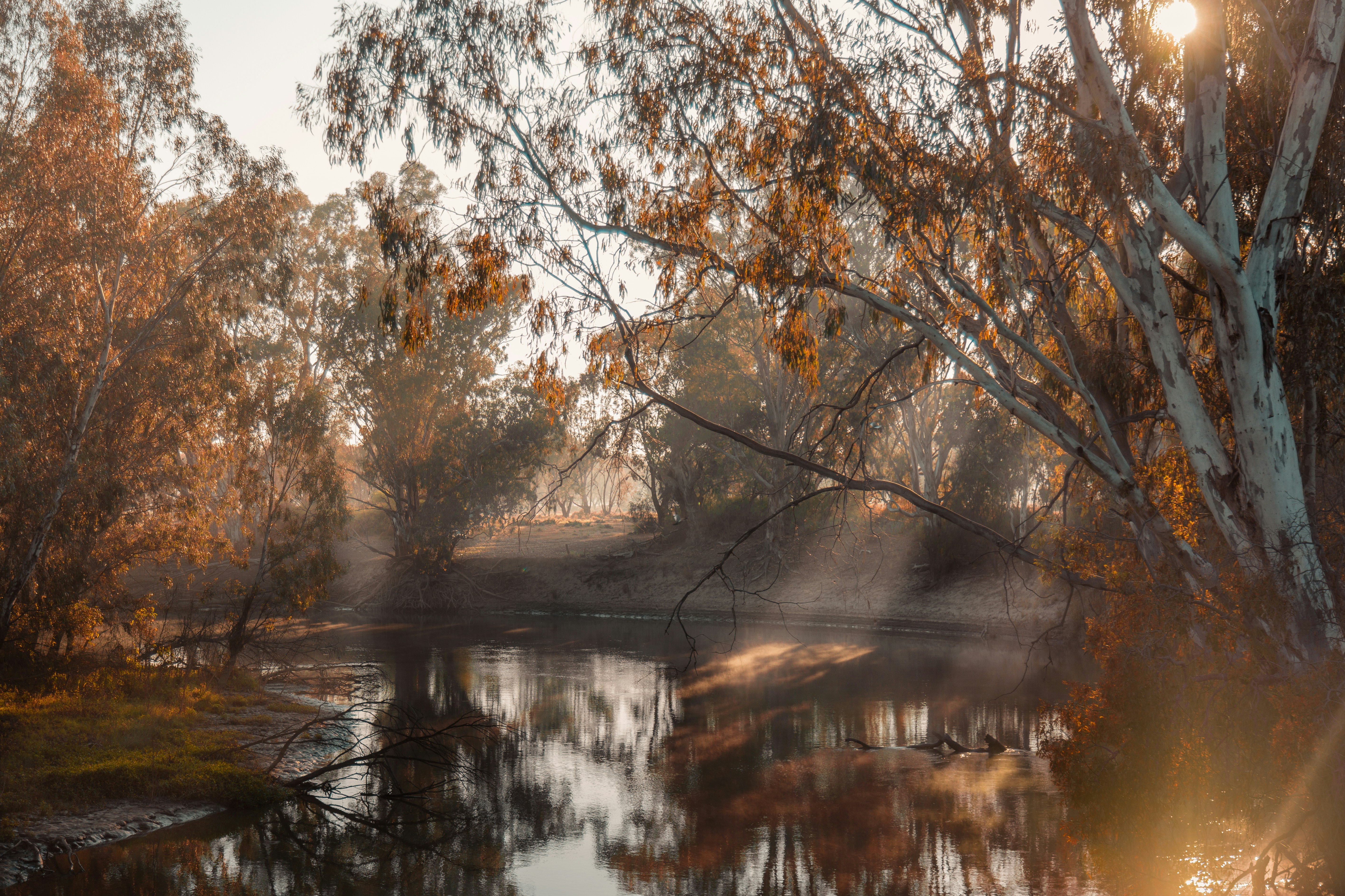 Autumn Valley