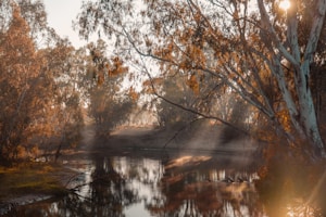 Golden River
