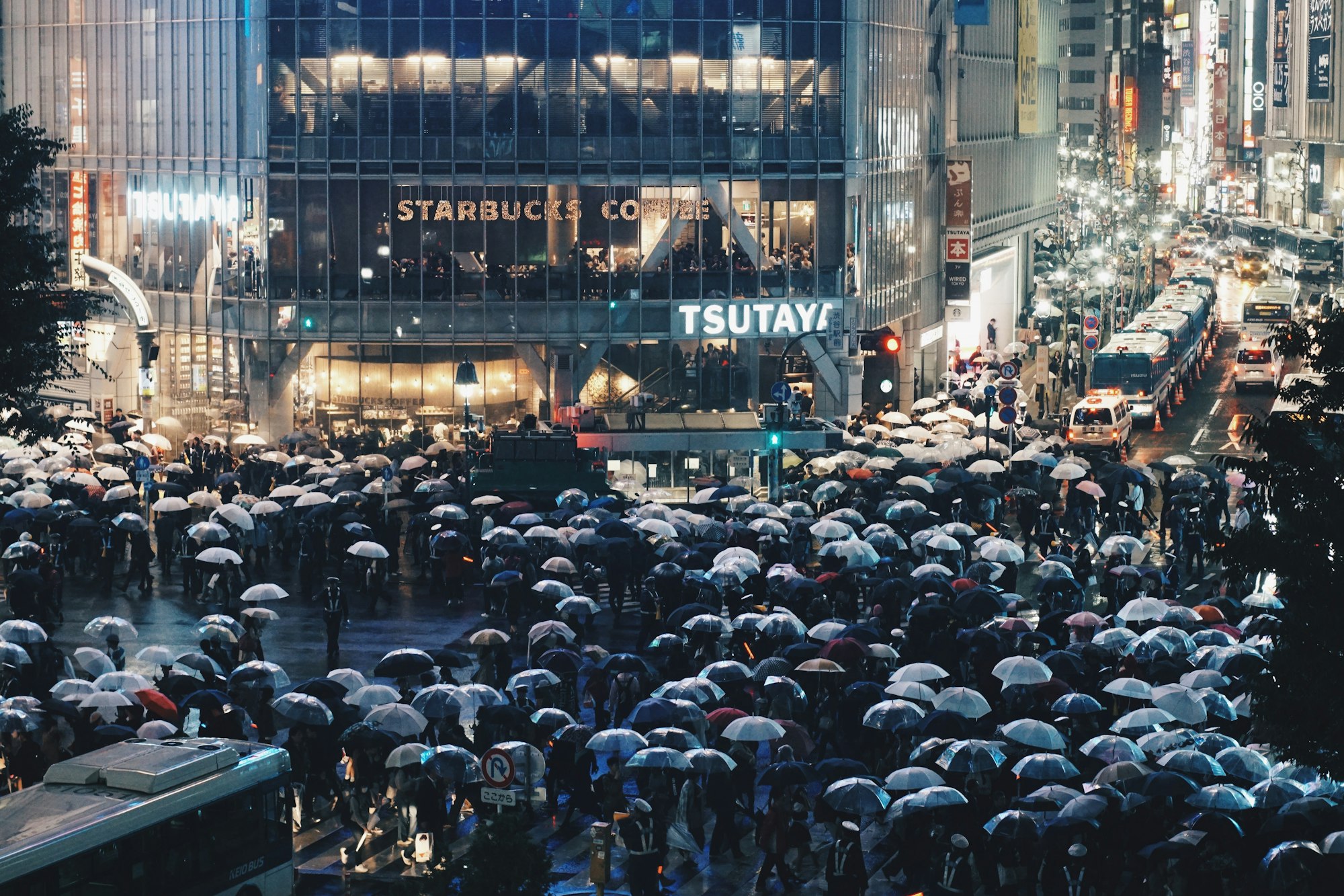 A Rainy Shibuya Crossing at Night