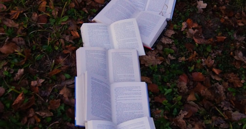 books on ground