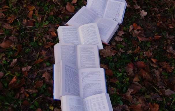 books on ground