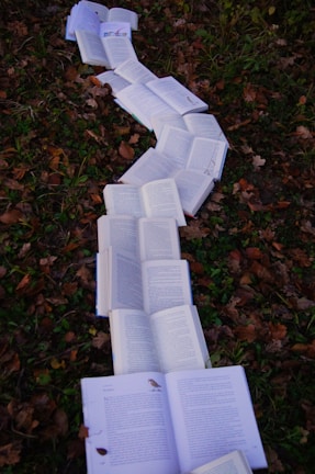 books for assessment at teencamps-uk