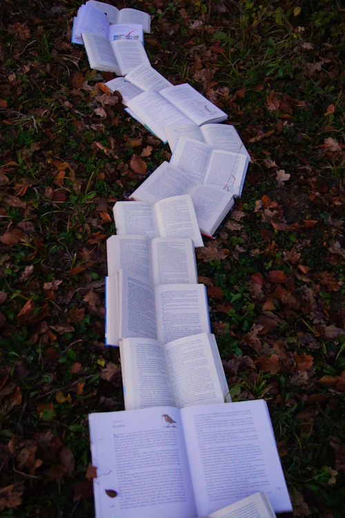 Cover of a mathematics revision guide