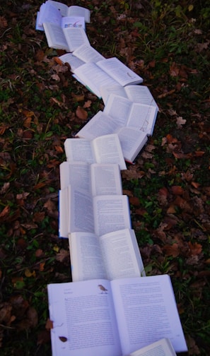 books on ground