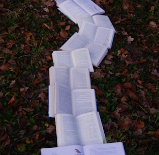 books on ground