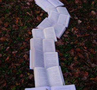 books on ground