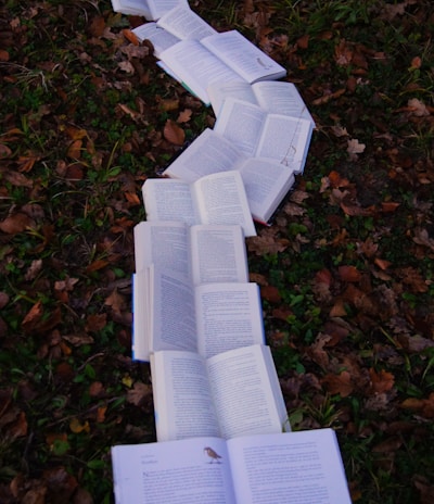 books on ground