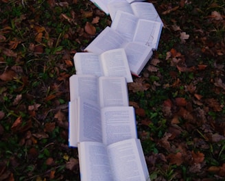 books on ground