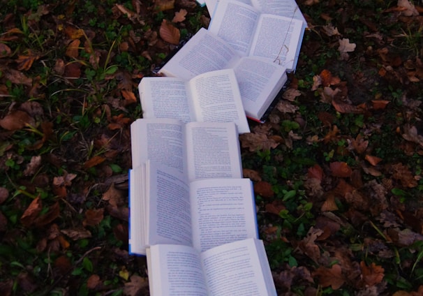 books on ground