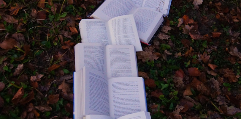 books on ground