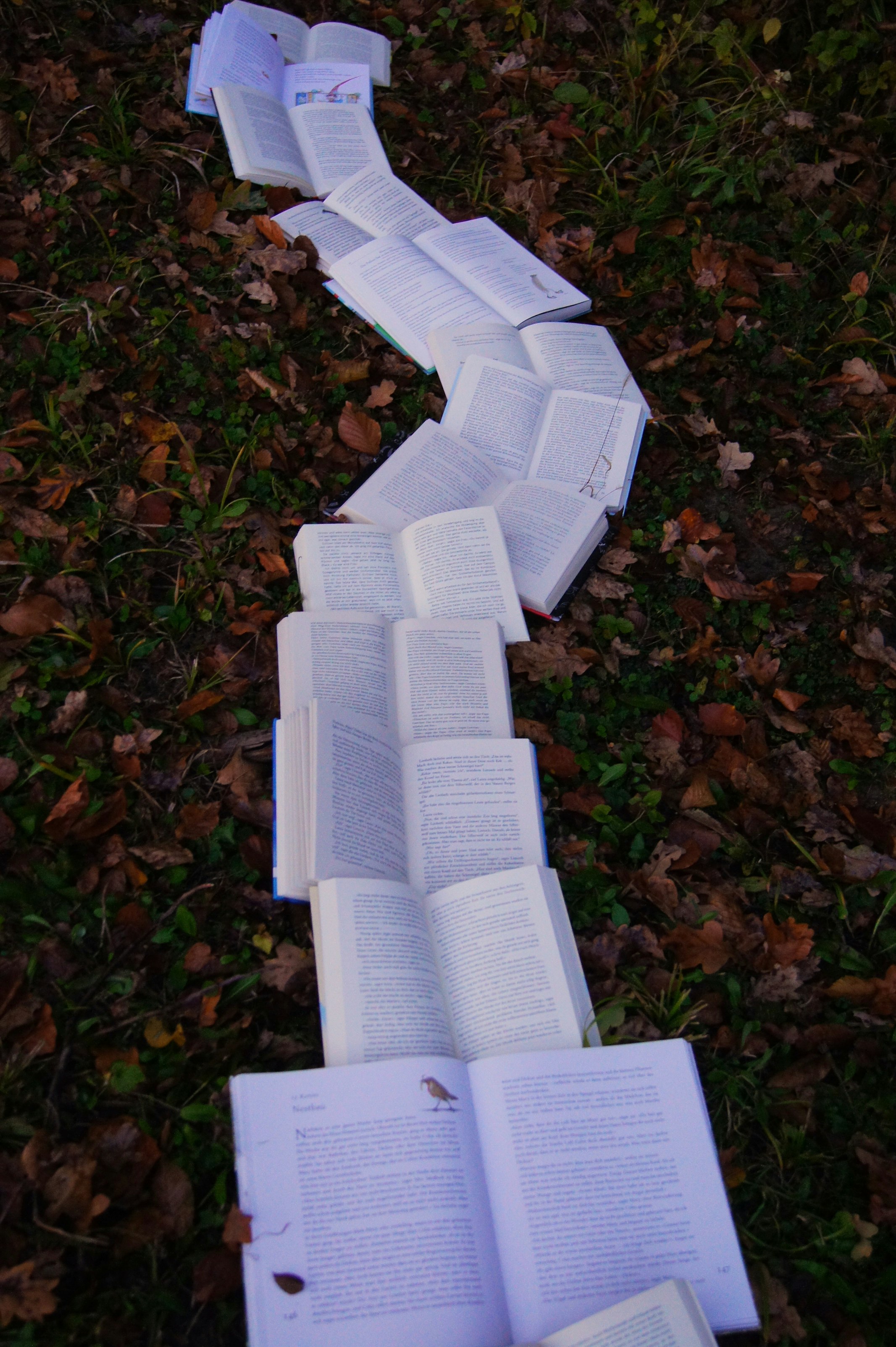 Books laid open in the grass forming a path