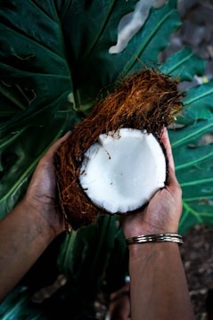 person holding cracked coconut