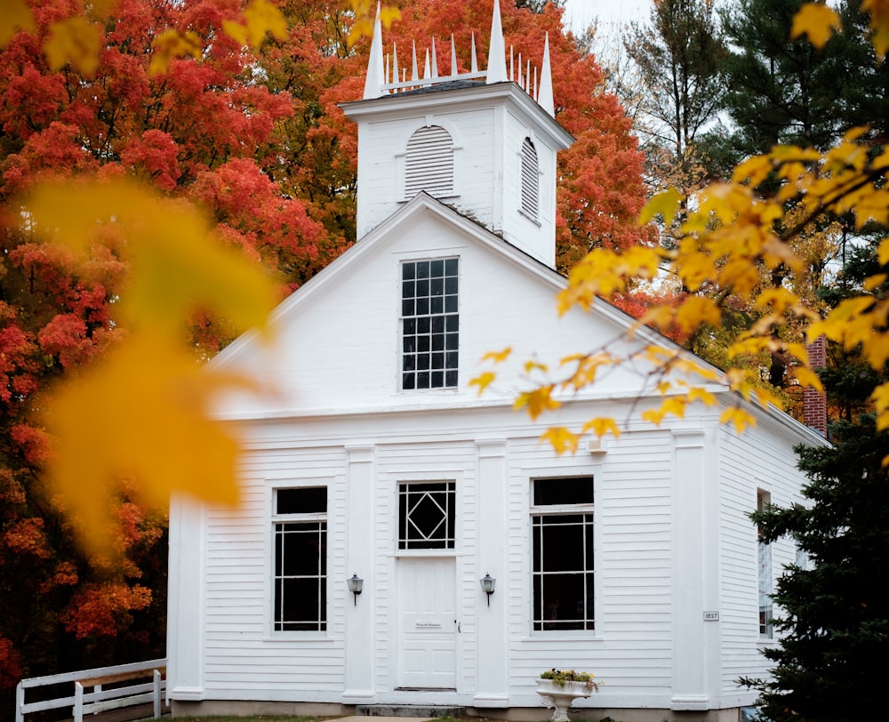 white painted building near red leaved trees