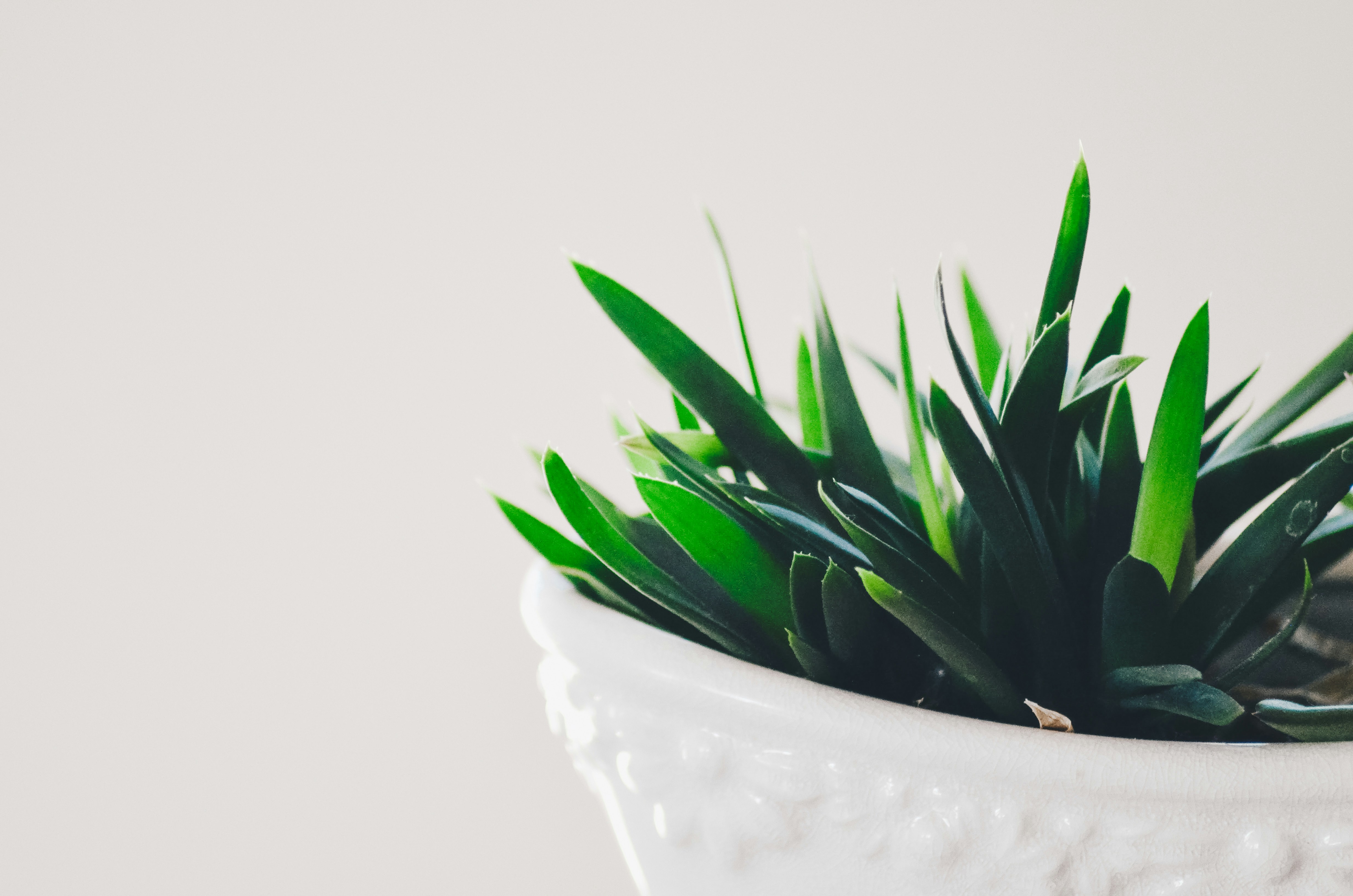 Photo by andreasvendelbo