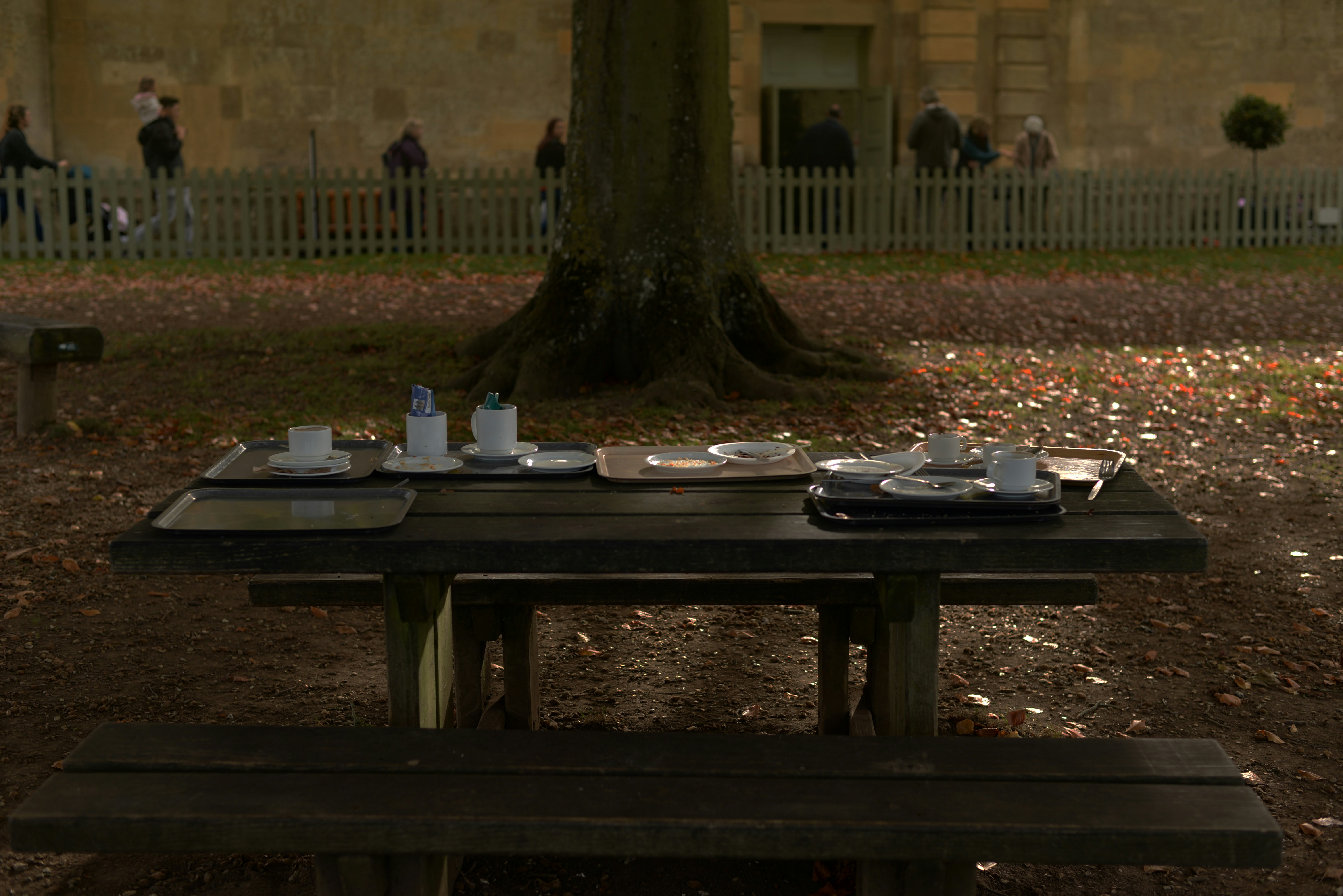 Eco-Friendly Picnic Plates