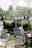 A serene outdoor setting featuring wooden tables and chairs arranged on a grassy lawn. A rustic bar structure with glasses is present in the background, adorned with a 'Mr & Mrs' sign. White triangular bunting is strung between trees, casting gentle shadows. The lush greenery and trees in the background evoke a peaceful, natural atmosphere.