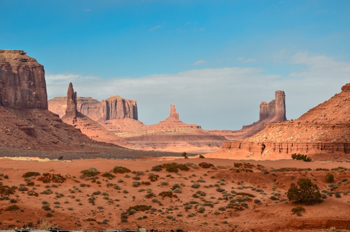 Desert Meadow