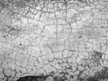 A textured surface with a network of intricate cracks forming a web-like pattern across the entire area. The surface appears weathered and aged, suggesting erosion or wear over a significant period.