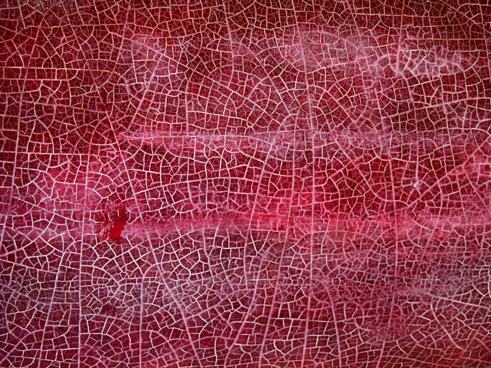a close up of a red and white textured background