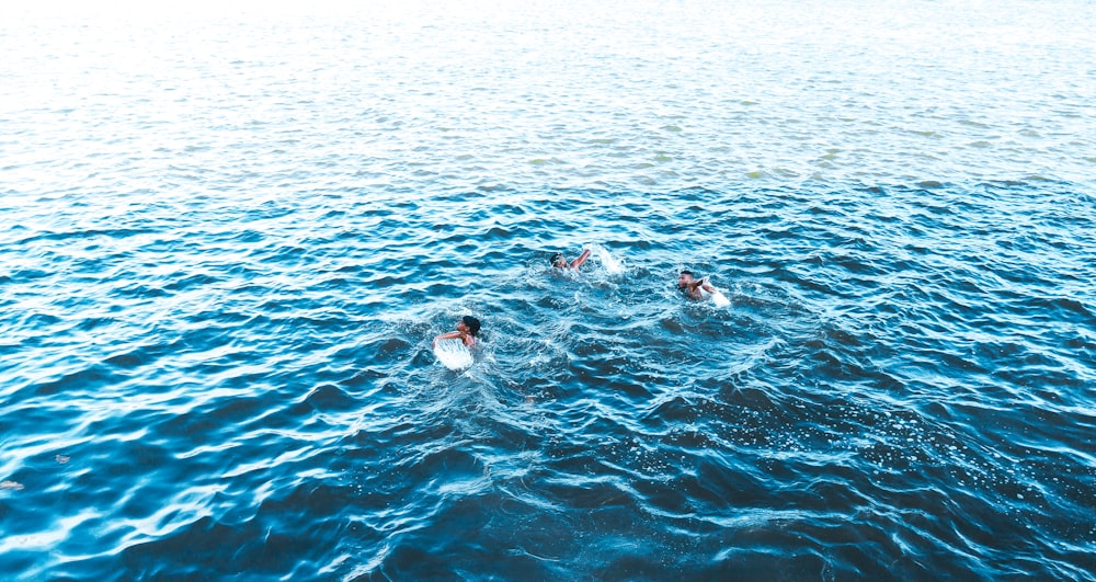 three peoples swim on body of water