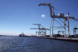 A group of participants observing the port's container cranes in action under a clear sky.
